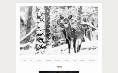 kennysimmonsart.com screenshot