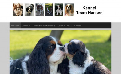kennelteamhansen.dk screenshot