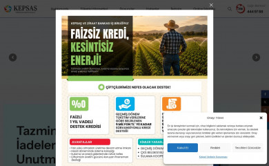 kepsas.com.tr screenshot