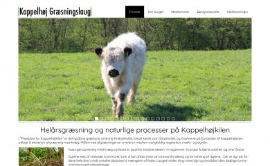 kh-kograesserlaug.dk screenshot