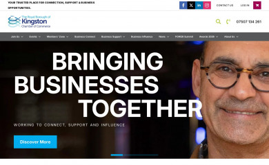 kingstonchamber.co.uk screenshot