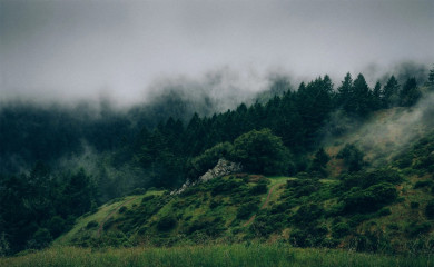 kirashi.ca screenshot