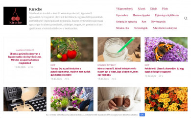 kirsche.hu screenshot