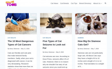 kittentoob.com screenshot