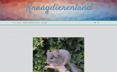 knaagdierenland.nl screenshot