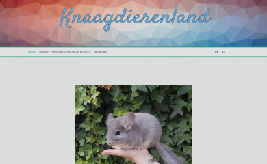 knaagdierenland.nl screenshot