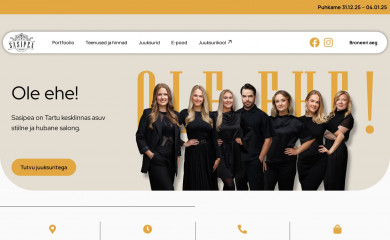 kochiveski.ee screenshot