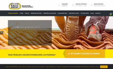 kocie-ruchy.pl screenshot