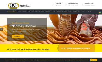 kocie-ruchy.pl screenshot