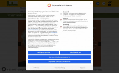 koeln-freiwillig.de screenshot