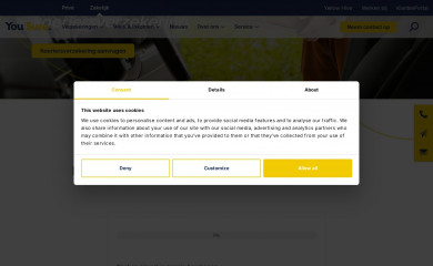 koeriersverzekering.com screenshot