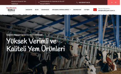 kokluyemcilik.com.tr screenshot