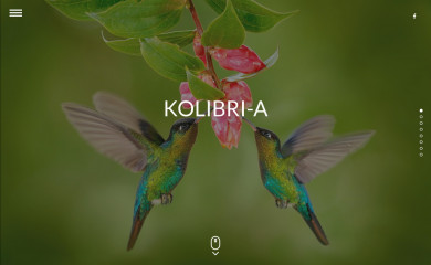 kolibri-a.lv screenshot