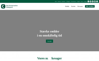 konservative.dk screenshot