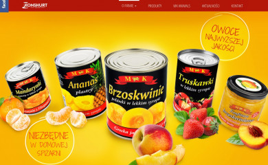 konshurt.com.pl screenshot