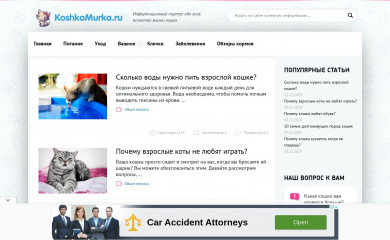 koshkamurka.ru screenshot