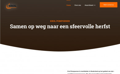 krolpompoenen.nl screenshot