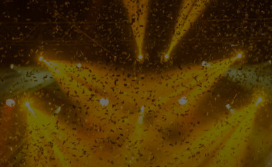 kstreetunion.com screenshot