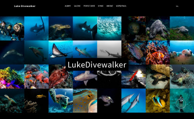 lukedivewalker.com screenshot