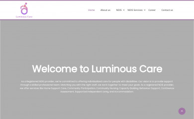 luminouscarendis.com screenshot