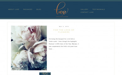 luxeeventsandweddings.com screenshot