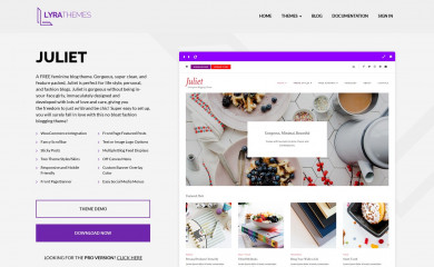https://www.lyrathemes.com/juliet/ screenshot