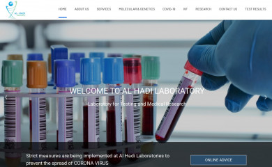 lab-alhadi.com screenshot