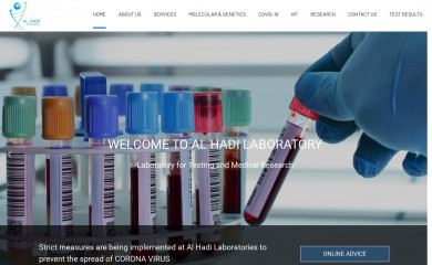 lab-alhadi.com screenshot
