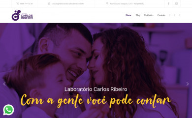laboratoriocarlosribeiro.com.br screenshot