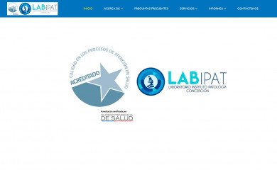 labipat.cl screenshot