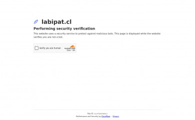 labipat.cl screenshot