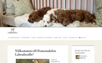 labradoodle.nu screenshot