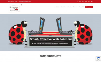 ladybirdweb.com screenshot