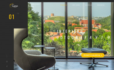 laimonofoto.lt screenshot
