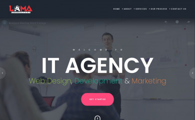 lamaconsultant.com screenshot