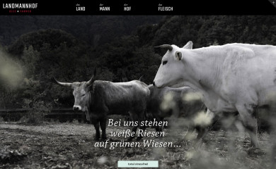 landmannhof.it screenshot