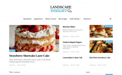 landscapeinsight.com screenshot