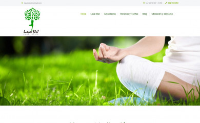 lasaibizi.com screenshot