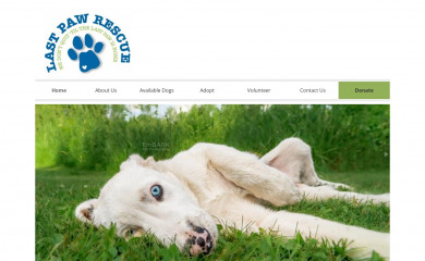 lastpawrescue.org screenshot