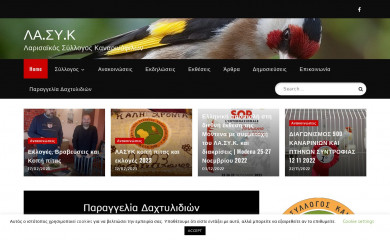 lasyk.gr screenshot