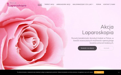 laparoskopia.pl screenshot