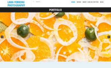 laraferroni.com screenshot