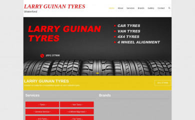 larryguinantyres.com screenshot