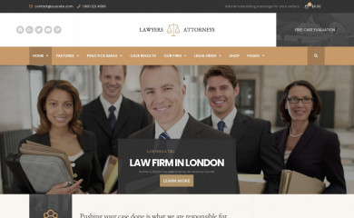 http://lawyers.thememove.com screenshot