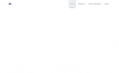 lb-transports.com screenshot