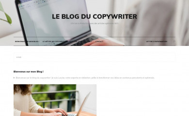 le-blog-du-copywriter.com screenshot