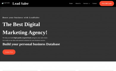 leadsaler.com screenshot