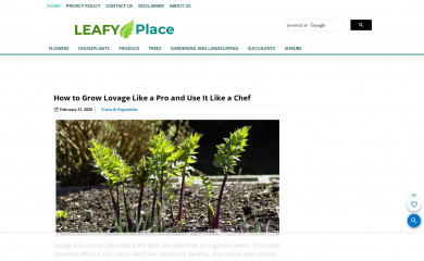 leafyplace.com screenshot