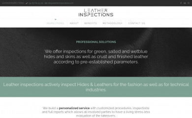 leatherinspections.com screenshot