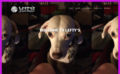 leftyslivemusic.com screenshot